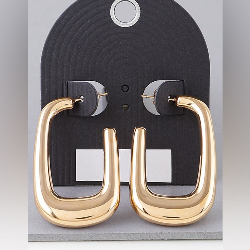 72R. Stainless Steel Frame Hoop Earrings